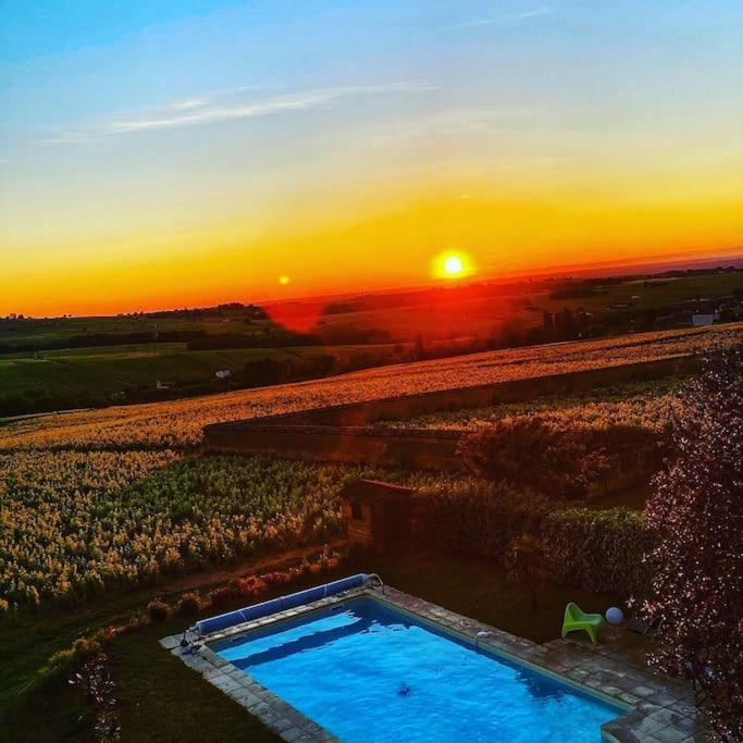 La Chapelle-de-GuinchayAu Coeur Des Vignes Chenas Du Beaujolaisアパートメント エクステリア 写真