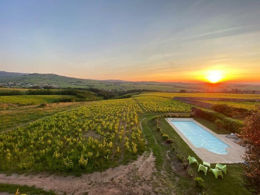 La Chapelle-de-GuinchayAu Coeur Des Vignes Chenas Du Beaujolaisアパートメント エクステリア 写真
