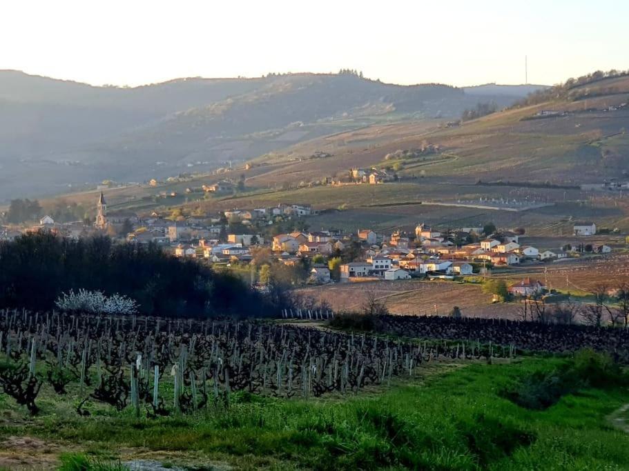 La Chapelle-de-GuinchayAu Coeur Des Vignes Chenas Du Beaujolaisアパートメント エクステリア 写真